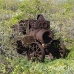 tractor_town_yankee_wc_h_0089_tci0089.jpg
